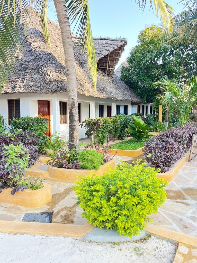 WhatsApp Image 2025-10-07 at 00.29.35_03b2b217